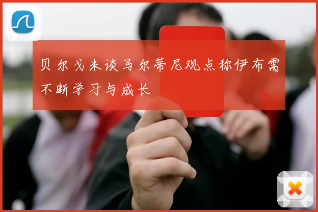 贝尔戈米谈马尔蒂尼观点称伊布需不断学习与成长